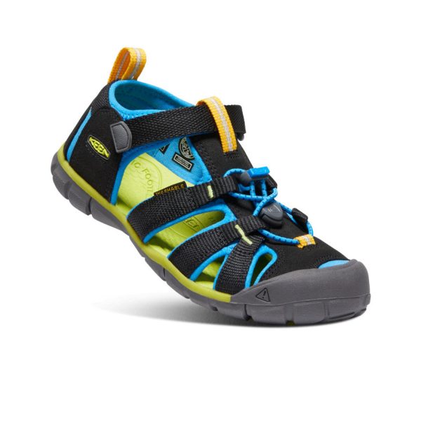 Big Kids' Seacamp II CNX | Black/Brilliant Blue