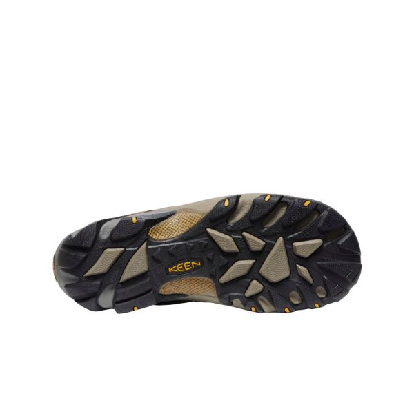 Men's Targhee II Waterproof Wide  |  Cascade Brown/Golden Yellow