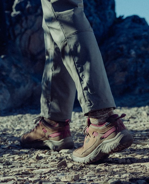 Women's Targhee IV Waterproof Hiking Shoe | Abbey Stone/Lily Pad