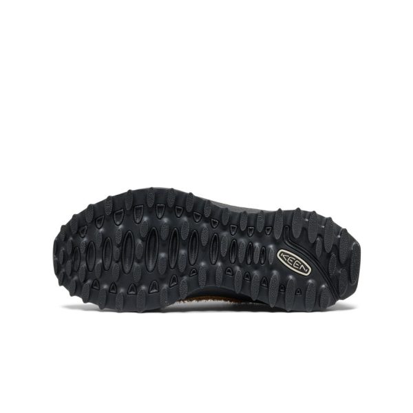 Women's Jasper Zionic Sneaker  |  Chipmunk/Symphonic Sunset
