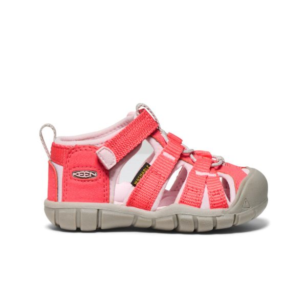 Toddlers' Seacamp II CNX  |  Dubarry/Giggle Pink