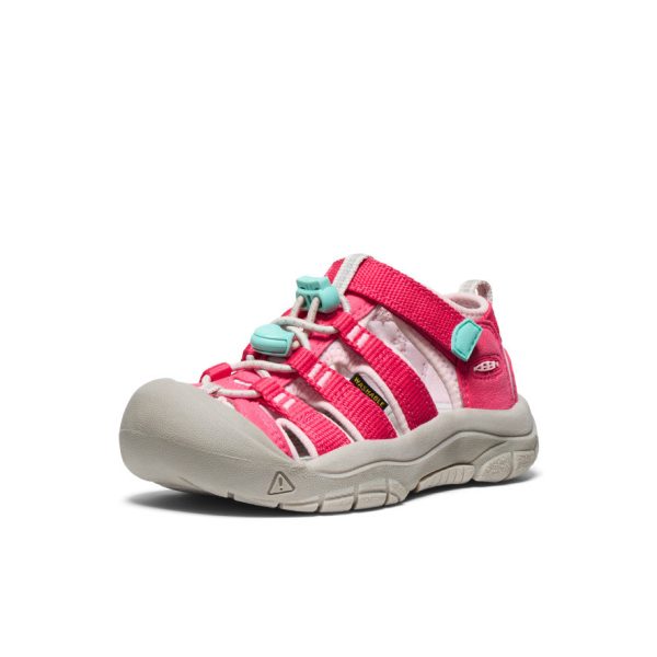 Little Kids' Newport H2  |  Raspberry/Giggle Pink