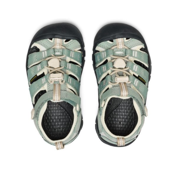 Little Kids' Newport H2  |  Lily Pad/Black