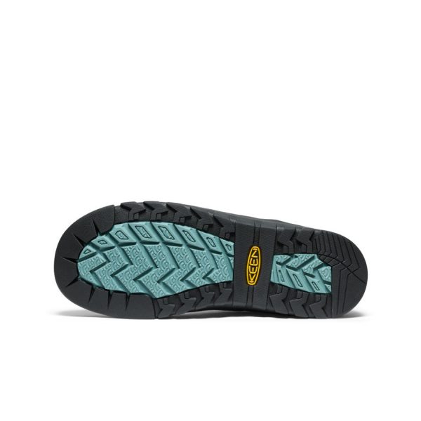Men's Jasper Rocks Sneaker x Eastlogue  |  Scarab/Arctic