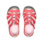 Little Kids' Seacamp II CNX | Dubarry/Giggle Pink