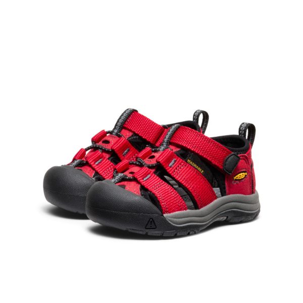 Toddlers' Newport H2 | Ribbon Red/Gargoyle
