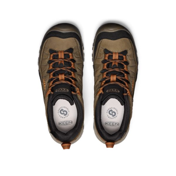 Men's Targhee IV Waterproof Hiking Shoe  |  Sea Turtle/Roasted Pecan