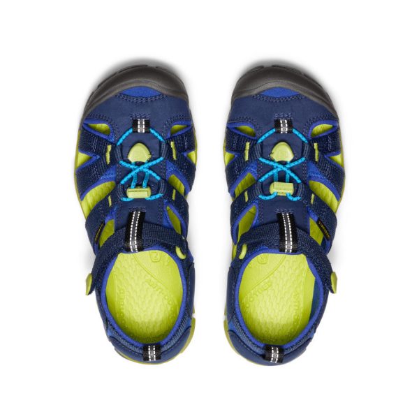 Big Kids' Seacamp II CNX | Naval Academy/Chartreuse