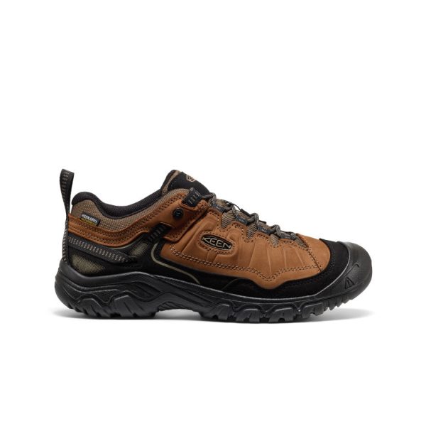Men's Targhee IV Waterproof Hiking Shoe | Bison/Black