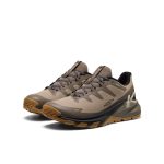 Men's Targhee Apex Waterproof Hiking Shoe  |  Brindle/Canteen