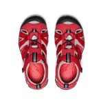 Big Kids' Seacamp II CNX | Ribbon Red/Alloy