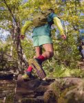 Men's Targhee Apex Waterproof Hiking Boot | Brindle/Safari