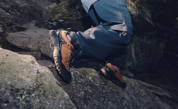 Men's Targhee IV Waterproof Hiking Shoe | Bison/Black