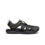 Men's SOLR Sandal | Black/Gold