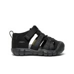 Toddlers' Seacamp II CNX | Black/Grey