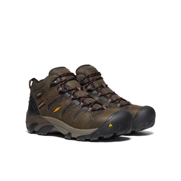 Men's Lansing Mid Waterproof (Steel Toe) | Cascade Brown/Brindle