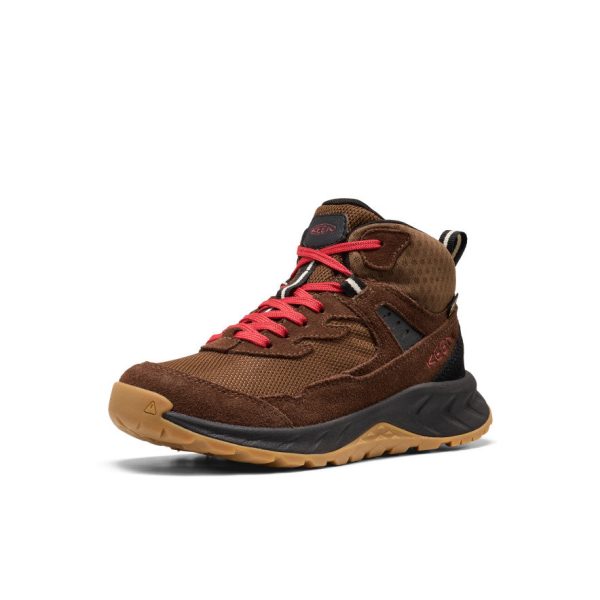 Big Kids' Hightrail Waterproof Hiking Boot | Dark Earth/Garnet