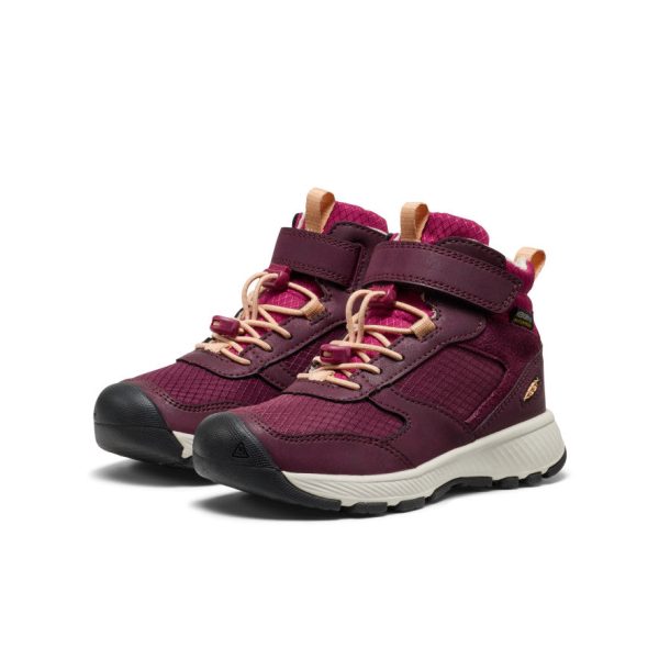 Little Kids' Skua Waterproof Boot | Fig/Peach Fuzz