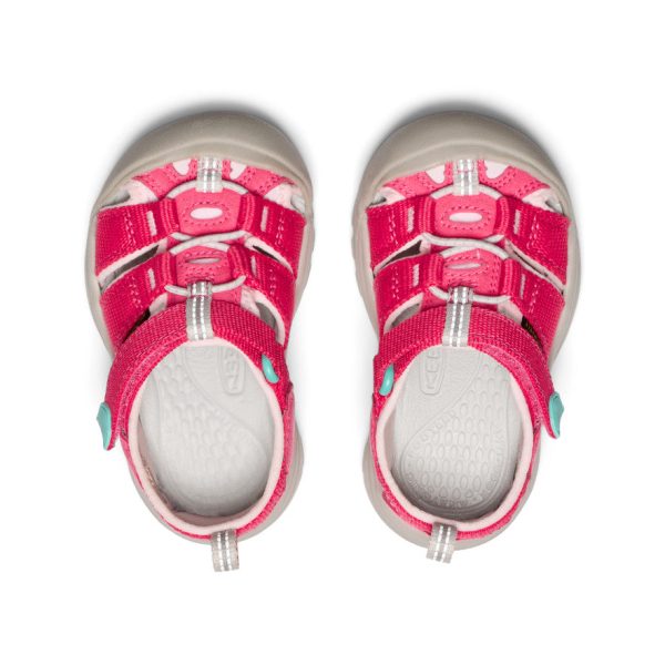 Toddlers' Newport H2 | Raspberry/Giggle Pink