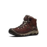 Men's Targhee IV Waterproof Hiking Boot  |  Java/Brindle