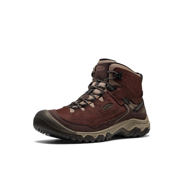 Men's Targhee IV Waterproof Hiking Boot  |  Java/Brindle