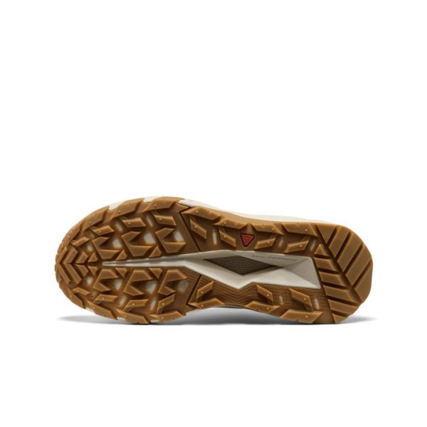 Women's Targhee Apex Waterproof Hiking Shoe | Safari/Birch